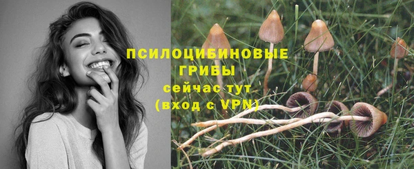 а пвп мука Абдулино