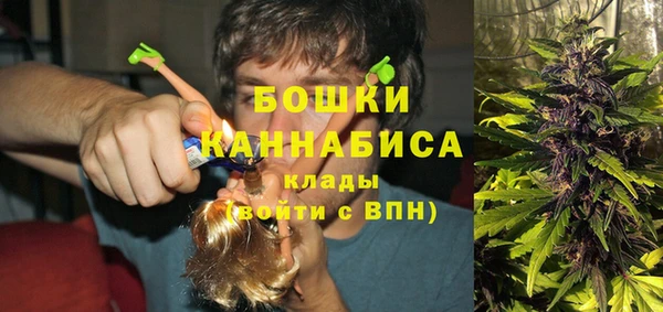 гидра Покров