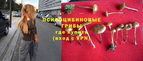 амф Абинск
