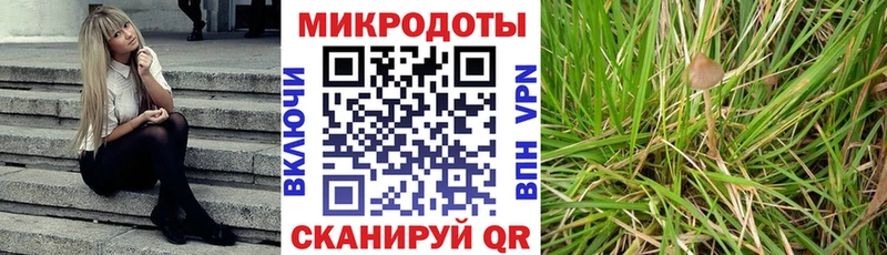ссылка на мегу   Дивногорск  Псилоцибиновые грибы Cubensis 